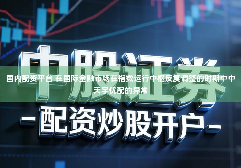 国内配资平台 在国际金融市场在指数运行中枢反复调整的时期中中天宇优配的异常