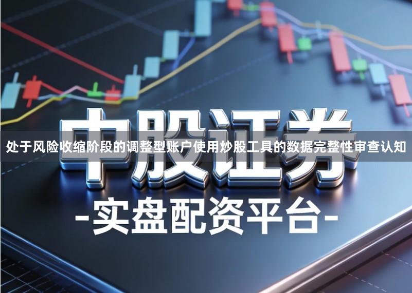 处于风险收缩阶段的调整型账户使用炒股工具的数据完整性审查认知