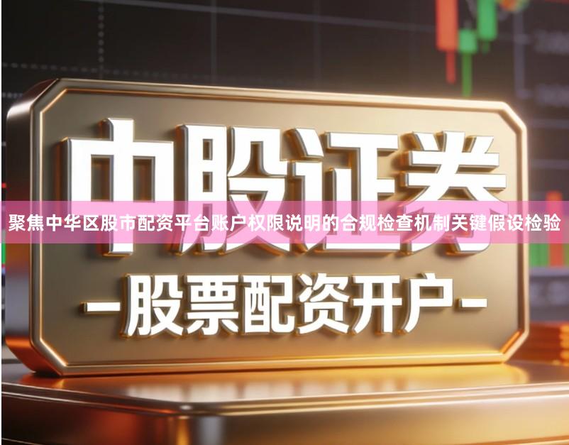 聚焦中华区股市配资平台账户权限说明的合规检查机制关键假设检验