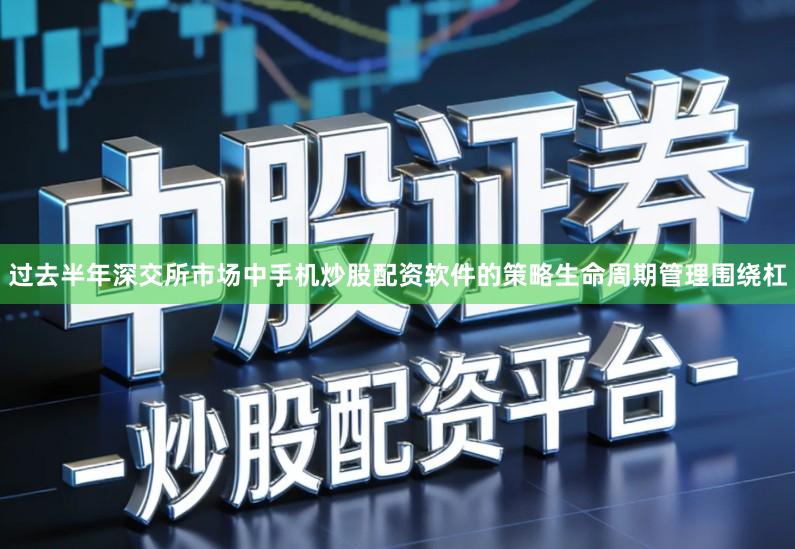 过去半年深交所市场中手机炒股配资软件的策略生命周期管理围绕杠