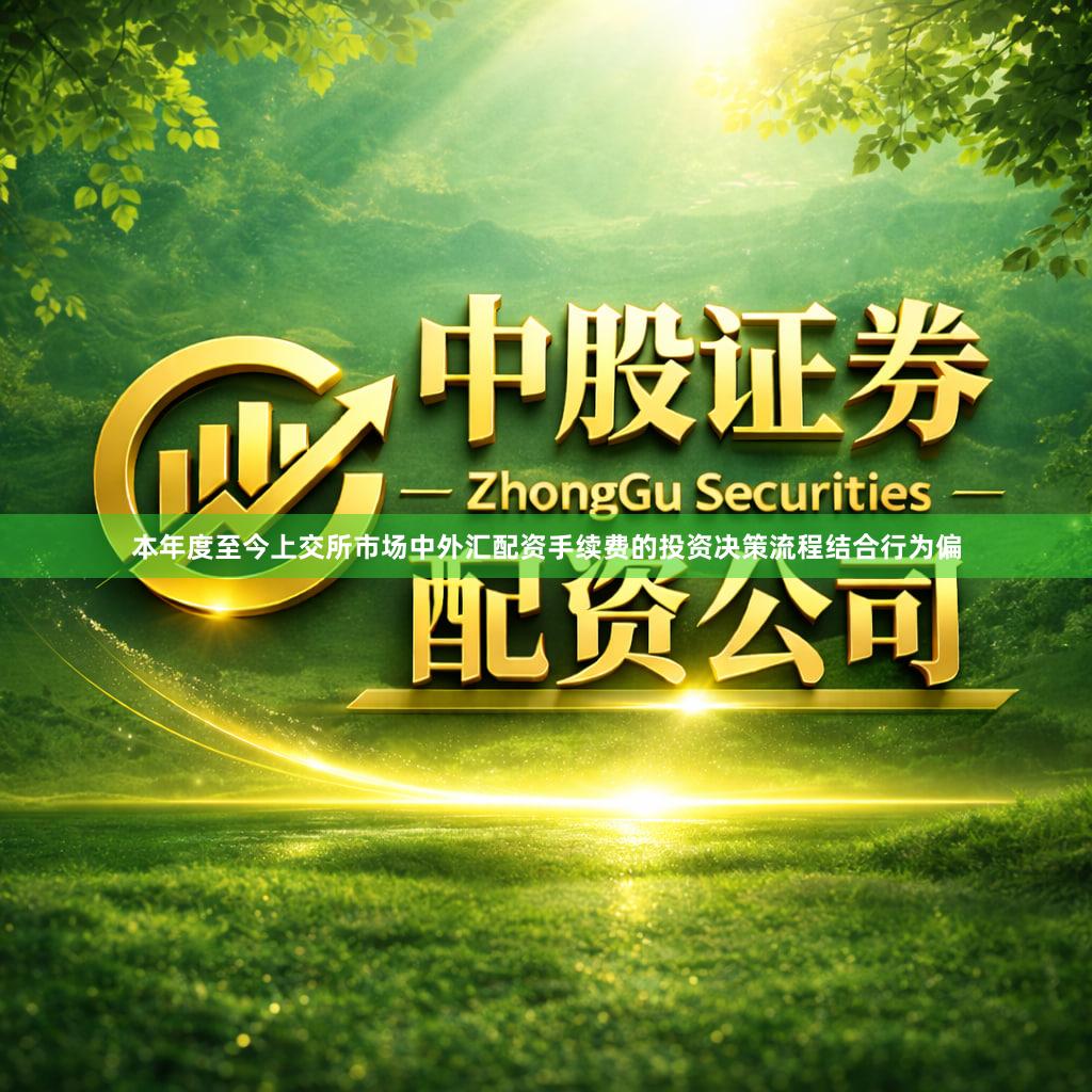本年度至今上交所市场中外汇配资手续费的投资决策流程结合行为偏